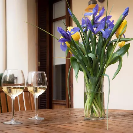 Santa Clara By Oldtown * San Sebastian