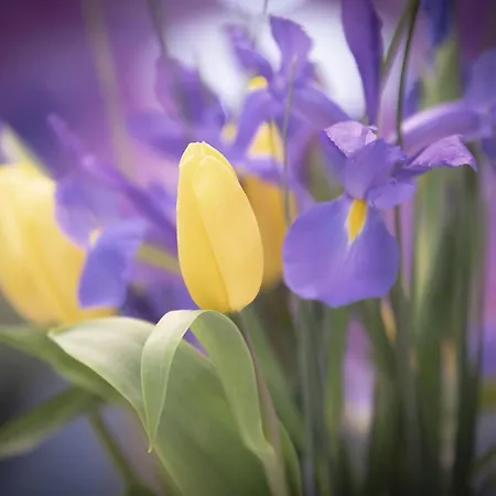 Santa Clara By Oldtown * סן סבסטיאן